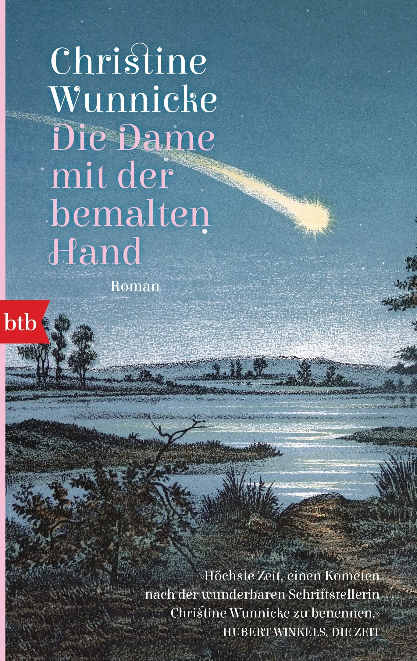 Die Dame mit der bemalten Hand: Roman