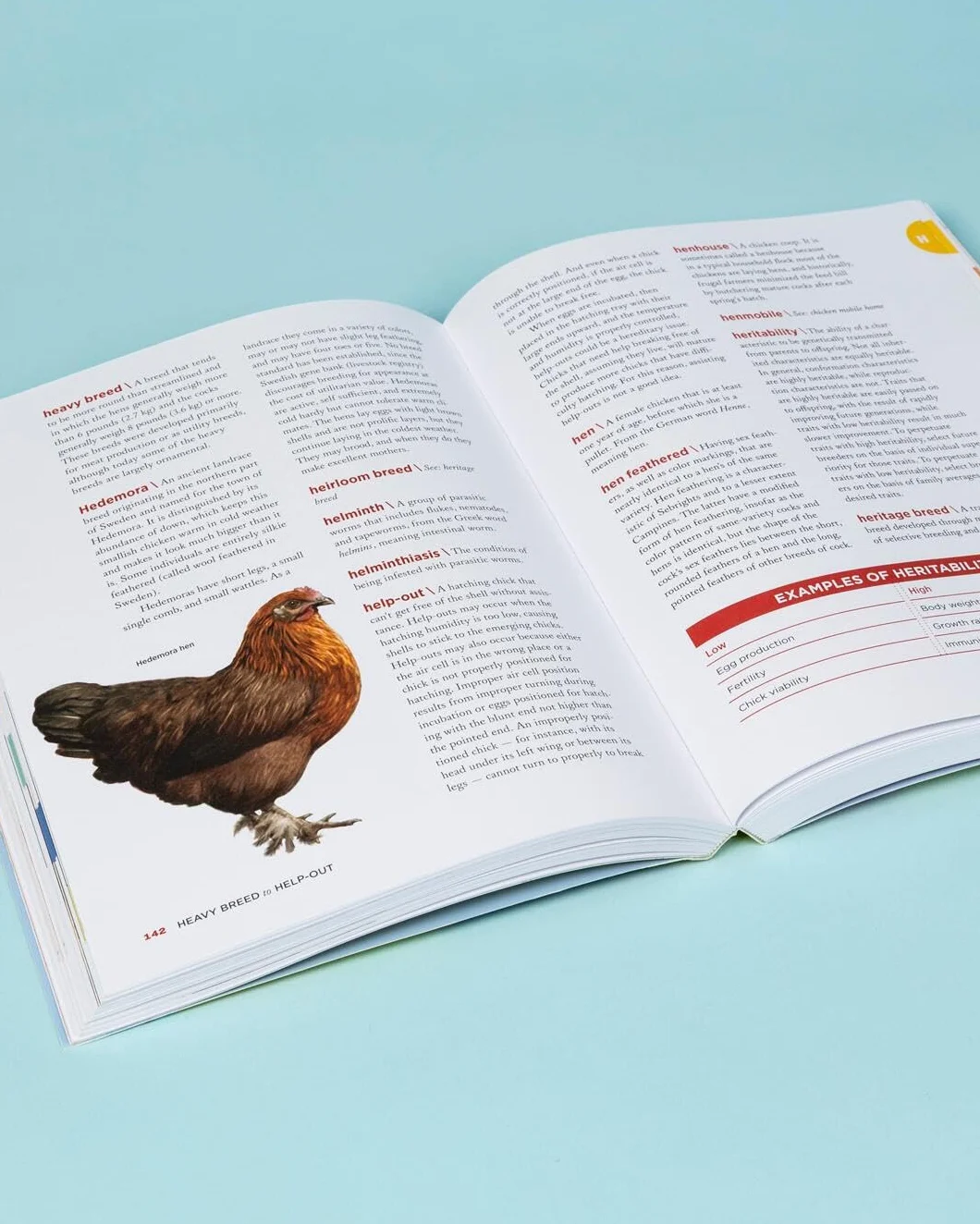 The Chicken Encyclopedia: An Illustrated Reference